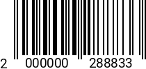 Штрихкод Винт 24 х100 * 12.9 DIN 912 насеч. код позиции 0288833 2000000288833