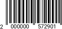 Штрихкод шуруп универс.5.0 х 25 полукруг.гол. PZ б.ц. (1000шт) 2000000572901